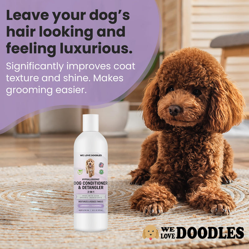 We Love Doodles Dog Conditioner & Grooming Set- 2-in-1 Lavender and Chamomile Conditioner for Allergies & Itching, Removes Tangles & Matts, Dematting Pet Combs, Detangler for Matted Hair