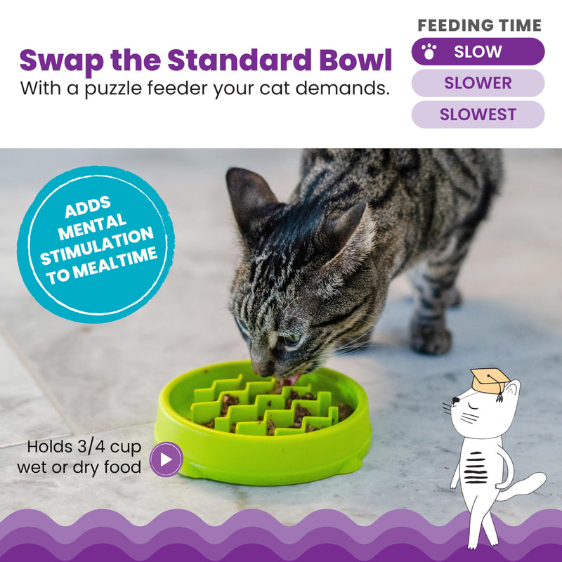 Catstages Kitty Slow Feeder Cat Bowl, Green Green Bowl - PawsPlanet Australia