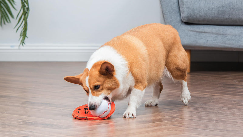 2-Piece Interactive Dog Toy Set - Durable Canvas Baseball Glove and Ball Toy for Large, Medium, Small Dogs - Fun Fetching and Chew Toy with Crinkle Sound, 7 Inch One Size - PawsPlanet Australia