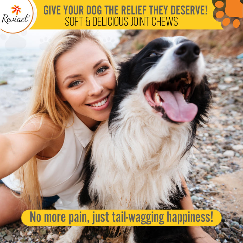 Advanced Canine Joint Supplement – Joint Care for Dogs – Active Dog Supplement with Devil’s Claw Boswellia & Turmeric – Tasty Dog Supplement for All Dog Breeds and Ages - PawsPlanet Australia