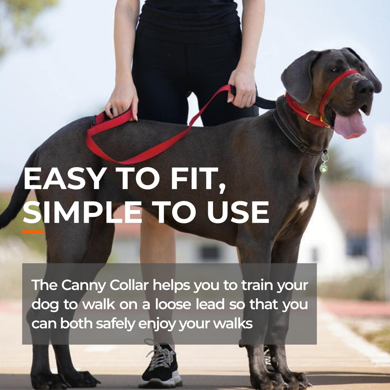 Canny Collar No-Pull Dog Head Collar | Gentle & Humane Leash Training Aid for Small Dogs | Stops Pulling – Comfortable Control for Walking & Obedience | Red, Size 2 11-13in neck - Size 2 - PawsPlanet Australia