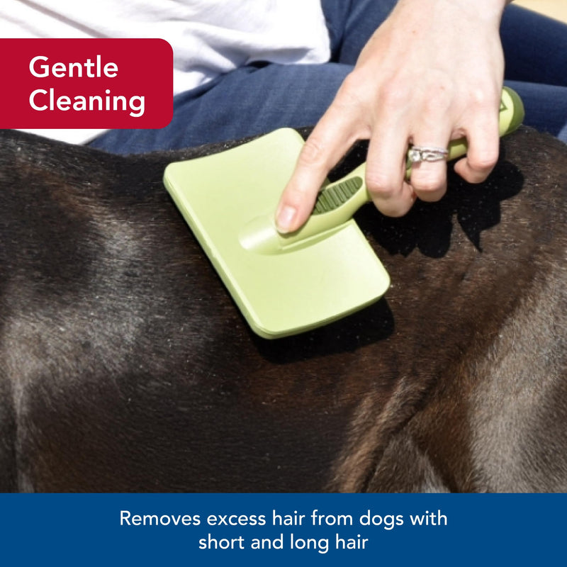 Coastal Pet Safari Dog Soft Slicker Brush - Dog Grooming Brush for Shedding - for Dogs with Short, Medium and Long Hair - Small - 6.5" x 2.5" No Color - PawsPlanet Australia