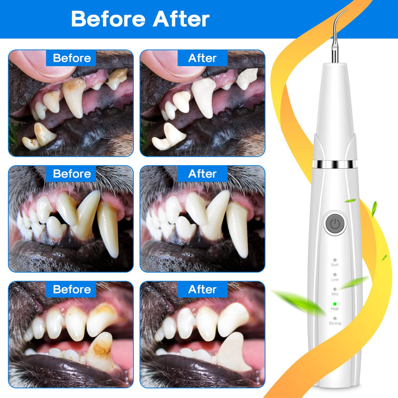 Dog Teeth Cleaning Kit for Pet Teeth Cleaning, Dog Plaque Remover for Teeth, 5 Modes Dog Tartar Remover for Teeth Care to Remove Stains Calculus, 10 in 1 Pet Cleaner Toothbrush (White) White - PawsPlanet Australia