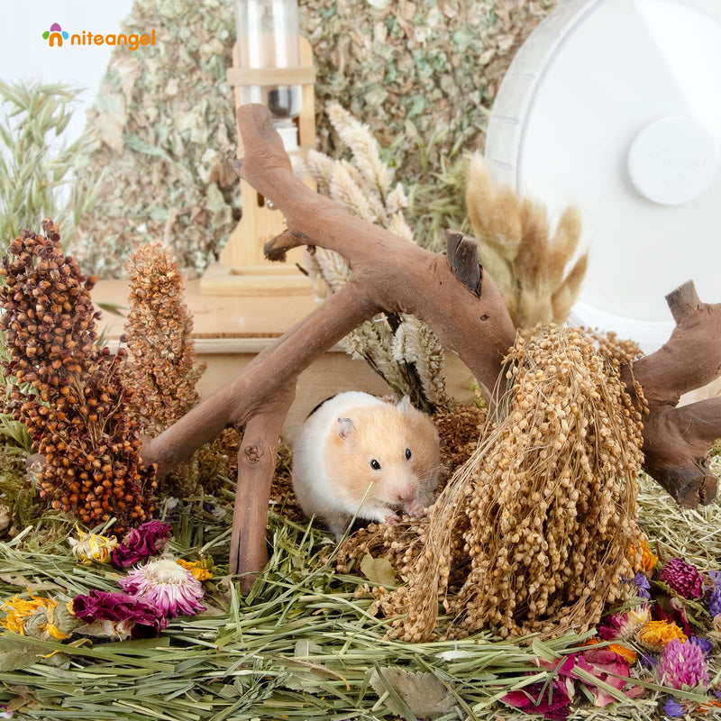 Niteangel Natural Flower & Herb Hamster Bedding Mate - Habitat Decor for Hamsters Gerbils Mice Lemming Degus or other Small Pets (Harvest Wind - Natural Poem Version) Harvest Wind - Natural Poem Version - PawsPlanet Australia