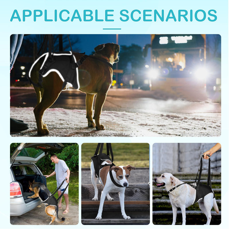 Dog Lift Harness for Large Dogs - for Senior Dogs and Pets with Weak Legs, Upgraded Adjustable Hind Leg Sling Set, Help Dog Go Up and Down The Stairs, L - PawsPlanet Australia