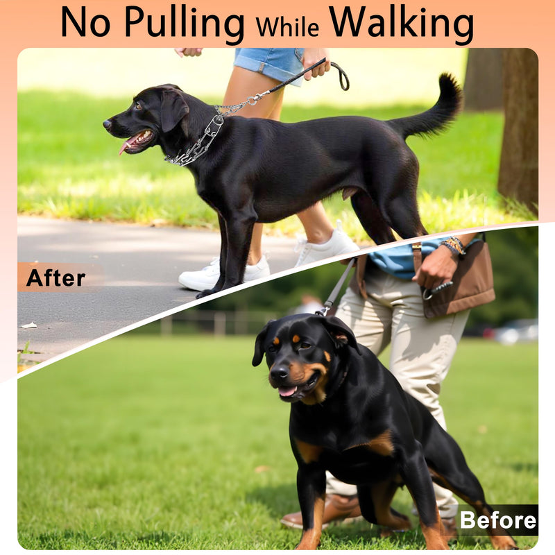 Stainless Steel Dog Training Collar, Quick Release Buckle, Adjustable Collar for Large Dogs Neck Girth 12"-17“ Silver L Neck Girth 12"-17" - PawsPlanet Australia