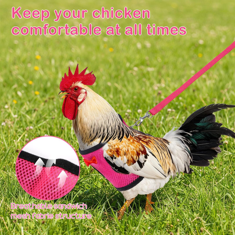 4 Pcs Adjustable Chicken Leashes and Harnesses Set, Double Adjustment Chicken Harness Comfortable Nylon Chickens Vest with 1.1M Leash for Hens, Ducks, Geese, Small Pets (4 Colors, M) - PawsPlanet Australia