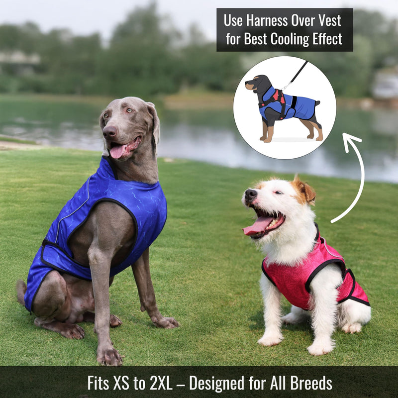 Dog Cooling Vest with Ice Pack – 2-Layer Evaporative Cooling Jacket with High Collar, UV Protection & Size-Matched Ice Pack – Cooling Vest for Dogs for Hot Weather (Blue Aqua, Small) Blue Aqua - PawsPlanet Australia