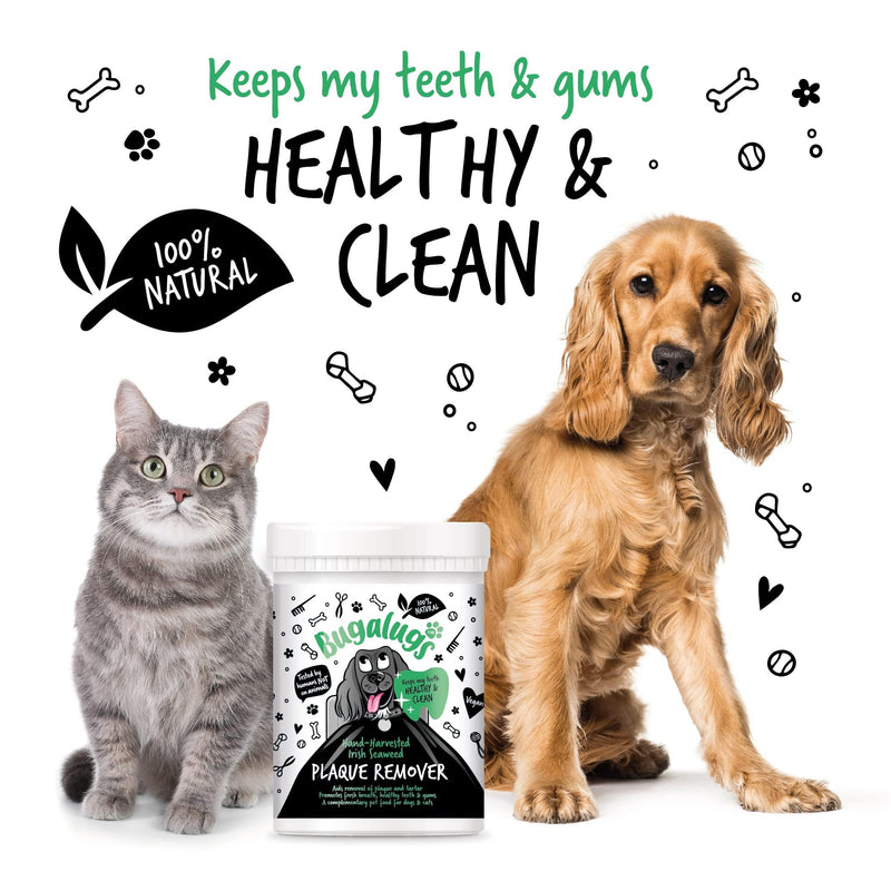 BUGALUGS Plaque Off Remover For Dog 70g Teeth & Bad Breath 100% Natural | Plaque Off Dogs No Need For Dog Toothbrush or Dog Toothpaste | Remove Dog Bad Breath & Plaque Remover For Dogs & Cats (70g) - PawsPlanet Australia