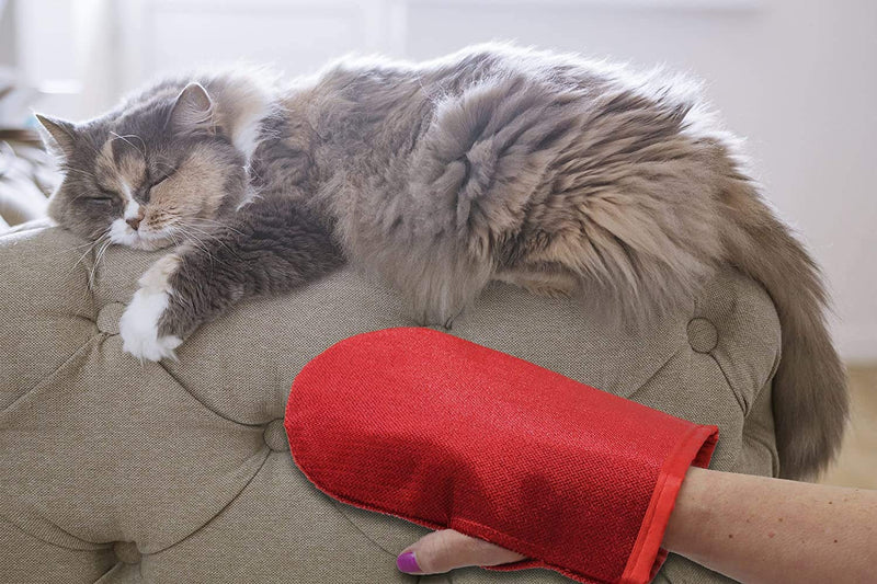 Evercare Pet Hair Remover Glove Pic-Up Mitt - 2 Pack - PawsPlanet Australia