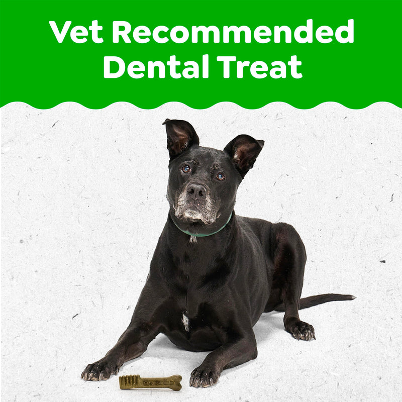 Greenies Dental Treats for Dogs, Veterinarian-Recommended Aging Care Adult Natural Dental Dog Treats, Teenie Size, 27 oz. Pack, 96 Count 96 Count (Pack of 1)