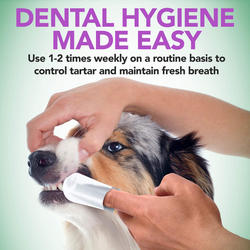 Bundle of Vet’s Best Dog Toothbrush and Enzymatic Toothpaste Kit + Vet's Best Dental Care Dog & Cat Finger Wipes 50 Count - Reduces Plaque & Freshens Breath - Teeth Cleaning Finger Wipes