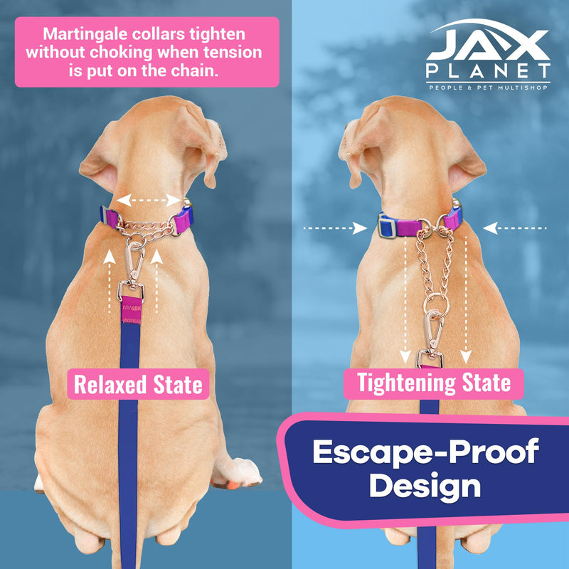Jelly Waterproof Martingale Dog Collar, No Pull Nylon Collar with Alloy Metal Buckle & D-Ring for Outdoor Training and Walking, Anti Pull, Escape Free, One Time Adjustment - Blue & Rose, L Collar:(L)Neck:18.0"~22.8" Collar:Blue-Rose