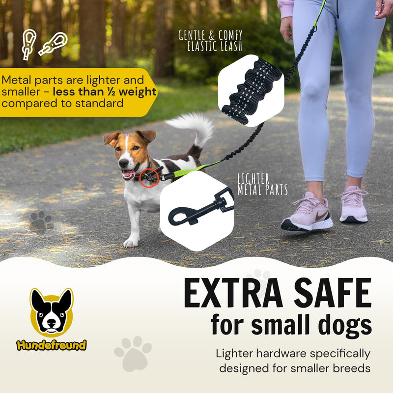 Hands Free Dog Leash for Small Dogs - Lightweight Waist Leash for Running Walking Hiking with Dogs Under 30 lbs - Adjustable Waist Belt, Pouch, Reflective Retractable Bungee, Dual Handles - PawsPlanet Australia