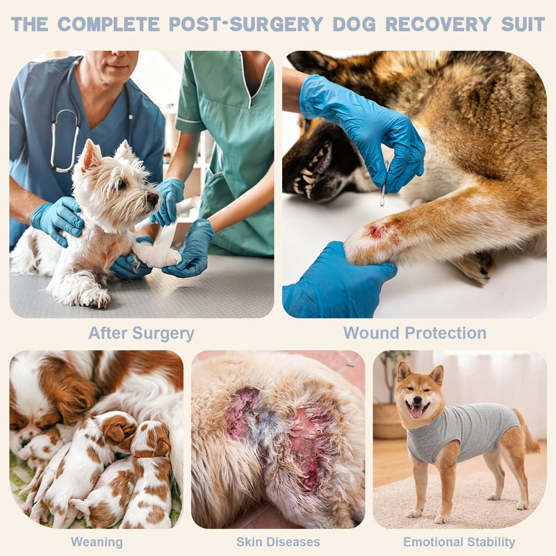 FEimaX Dog Surgery Recovery Suit Female Male Dog Onesie Surgical Bodysuit Soft Abdominal Wounds Protector Pet Shirt Cone E-Collar Alternative Puppy Post-Op Vest for Small Medium Dogs and Cats L Grey