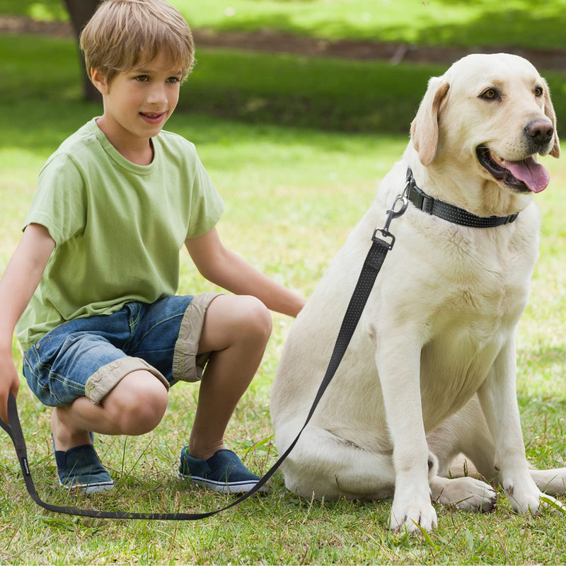 PetiFine Reflective Dog Collar, Adjustable Classic Nylon Dog Collars for Small/Medium/Large Dogs, High Visibility Dog Collars with Quick Release Buckle (Collar+Leash L, Black) Large(18"-26") - PawsPlanet Australia
