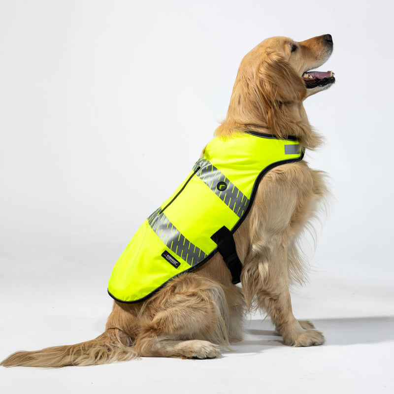 Reflective Dog Safety Vest, Harness and Collar Compatible, Waste Bag Holder, Water Resistant, Adjustable Neck and Chest, Day or Night Walking, High-Visibility Protection (Lime, S) Small - PawsPlanet Australia