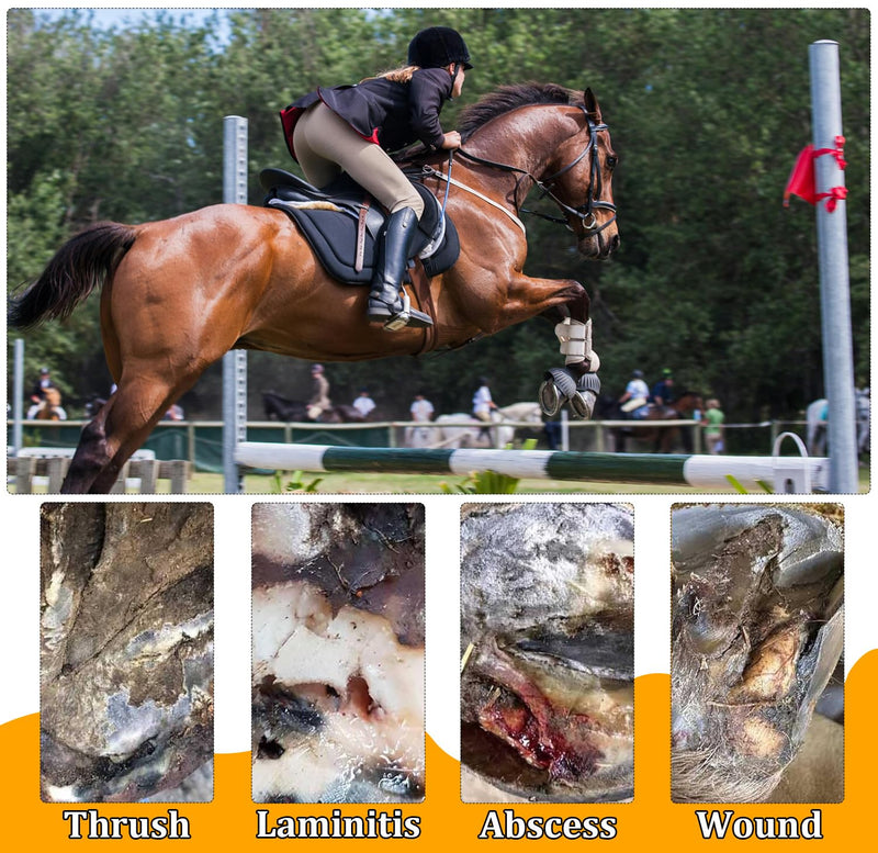 6 Pack Horse Hoof Tape with 2 Rolls of Vet Wrap, Strong Sticky Wraps, Magic Cushion Hoof Packing, Thrush Treatment for Horses, Horse Supplies for Real Horses 6 Pcs&2 Rolls - PawsPlanet Australia