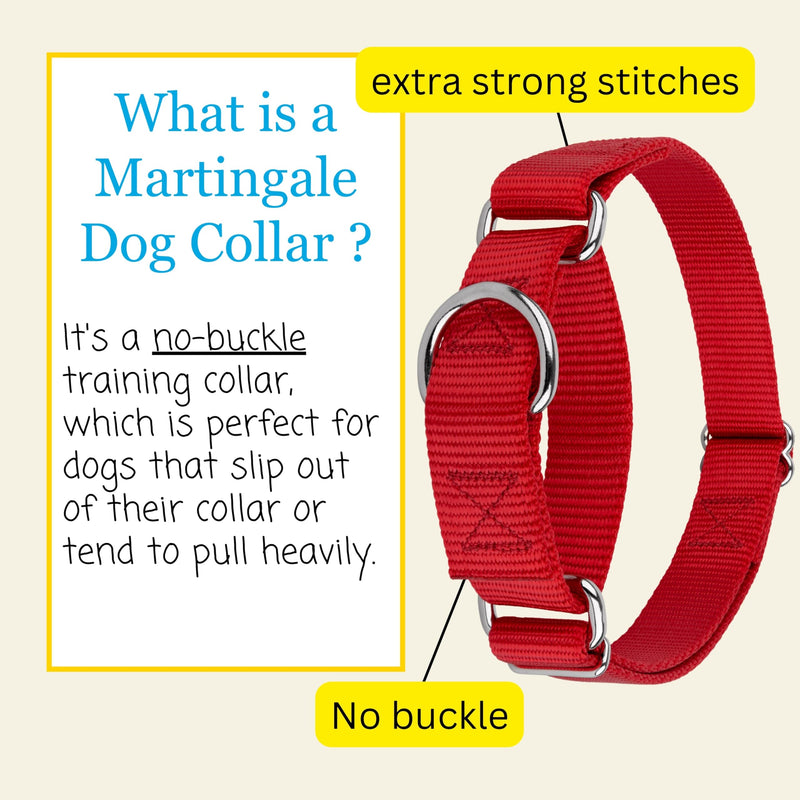 Country Brook Petz - Martingale Dog Collar - Heavy-Duty Training Collar with No Buckle - Service Dog Collar for All Pups - 10+ Warm Colors (Red, 1 Inch, Large) Large (Pack of 1) Red