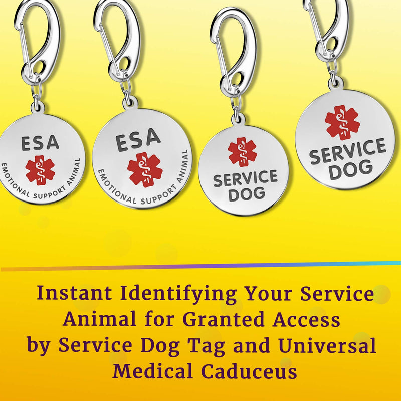 1" Stainless Steel Double Sided Service Dog Medical Alert Tag w/Hard Enamel and Quick Clip - Attach to Dog Collar or Harness Quickly and Securely - PawsPlanet Australia
