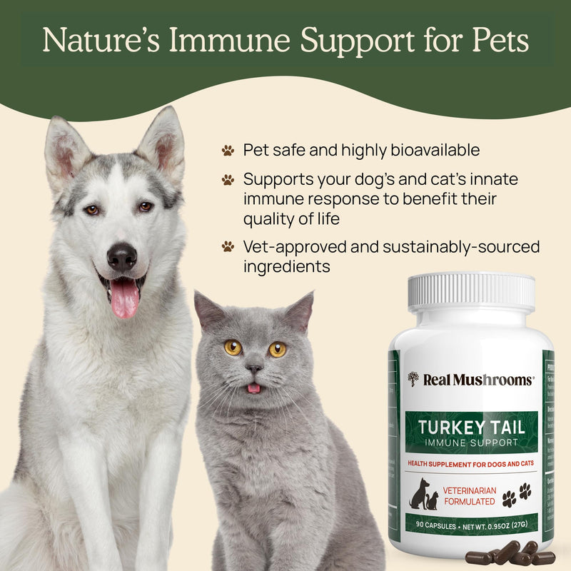 Turkey Tail Pet Support - Dog Multivitamins and Supplements for Immune Support, Gut Health & Wellness - Grain-Free, Gluten-Free, Vet-Approved Dog Supplement (90ct) Turkey Tail Mushrooms Pet - PawsPlanet Australia