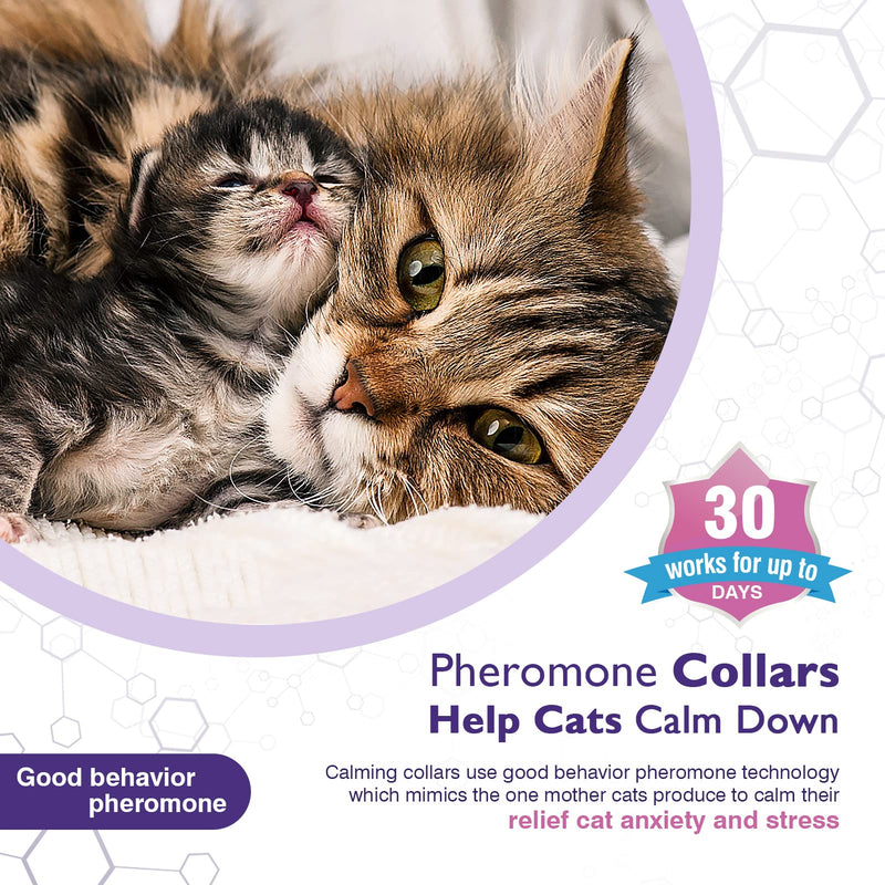 3 Pack Calming Collar Efficient Relieve Reduce Anxiety Stress Pheromones Calm Relaxing Comfortable Breakaway Collars Adjustable for Small, Medium Large Cat, Kittens Purple