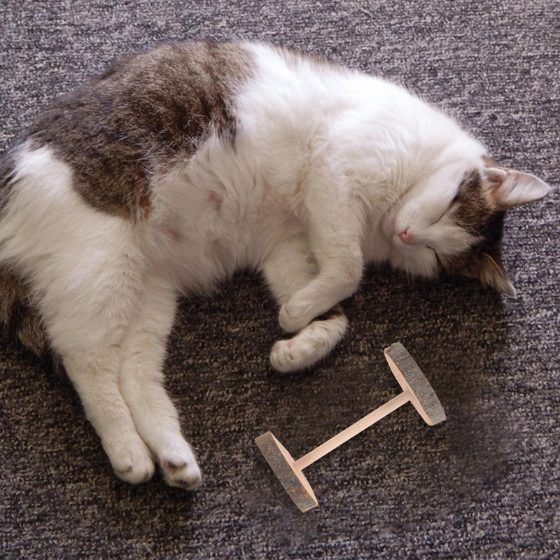 Amosfun 2-Piece Cat Chew Stick for Teeth Cleaning and Chewing, Cat Toy with Silver Vine for Kittens