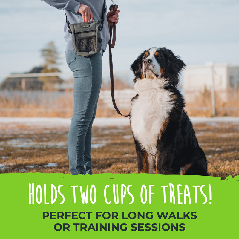 Mighty Paw Dog Treat Pouch 2.0 - Hands-Free Design - Strong Magnetic Closure - Quick Access To Your Pup's Treat - Closes Easy To Prevent Spills - No More Fumbling - Perfect For Long Walks Or Training Grey - PawsPlanet Australia