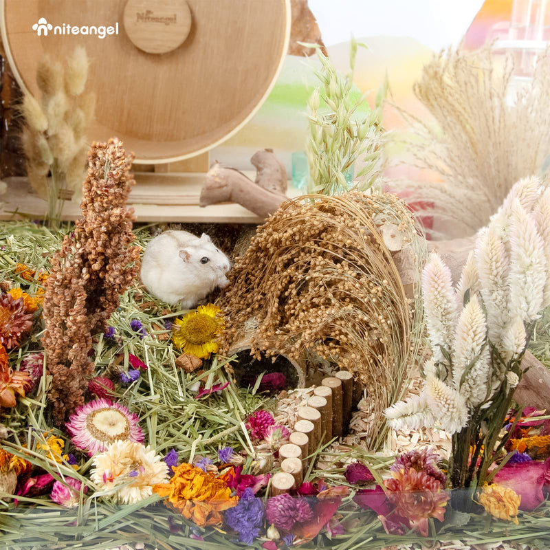 Niteangel Natural Flower & Herb Hamster Bedding Mate - Habitat Decor for Hamsters Gerbils Mice Lemming Degus or other Small Pets (Harvest Wind - Natural Poem Version) Harvest Wind - Natural Poem Version - PawsPlanet Australia