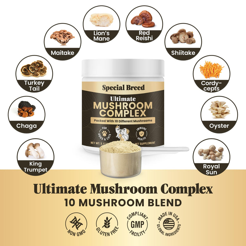 Mushroom Powder for Dogs & Cats - Organic Mushroom Complex for Immune Support, Cognition, Vitality - Ten Mushroom Supplement with Turkey Tail, Lion's Mane, Reishi - 180 Scoops 3.17oz