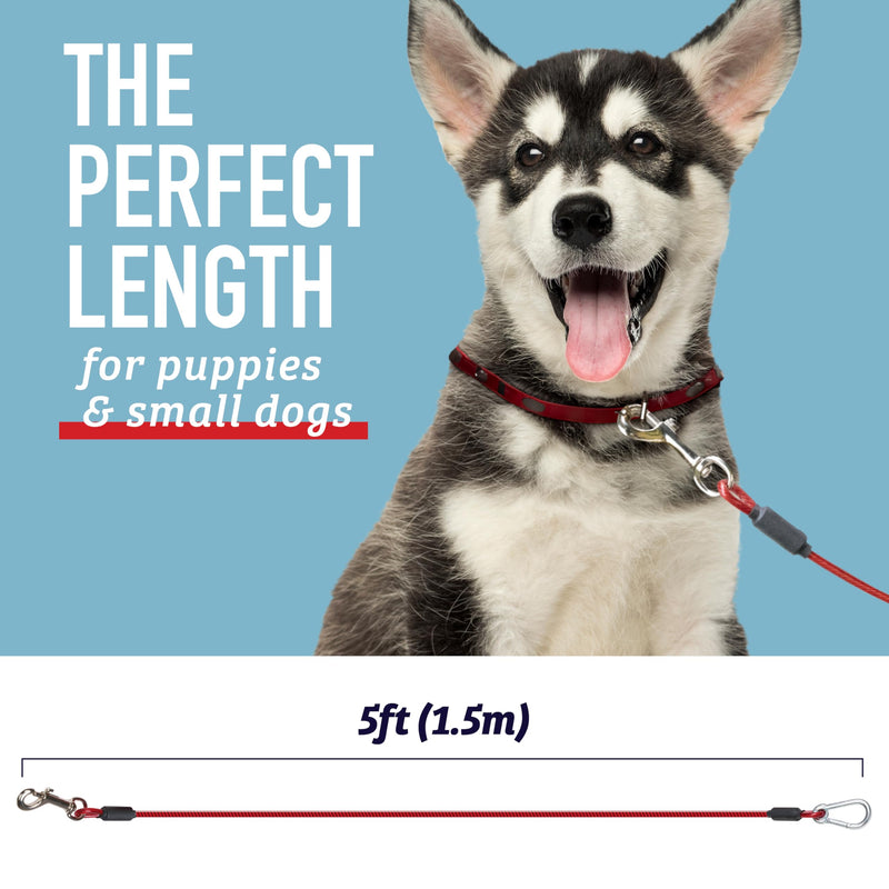 Leash Boss Dog Tie Out Cable for Large Dogs - 5 Ft Heavy Duty Tether for Outside Dog Runner - Durable, Chew-Proof, Dog Lead for Yard, Camping, and Training 5 Foot Classic Red - PawsPlanet Australia
