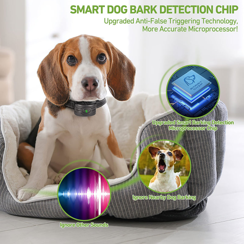 2 Pack Rechargeable Dog Bark Collar, Anti Barking Collar with 5 Sensitivity, No Shock Bark Collar with Vibration&5 Variable Beep, IP67 Waterproof Smart Bark Training Collar for Large Medium Small Dogs - PawsPlanet Australia