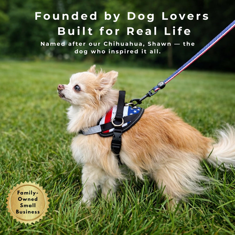 ShawnCo Essential Dog Harness, No-Pull Pet Vest with 3 Leash Clips, No Choke, Reflective, Adjustable and Padded, for Easy Walking and Training for Small Dogs (Mustang Red, S) Mustang Red - PawsPlanet Australia