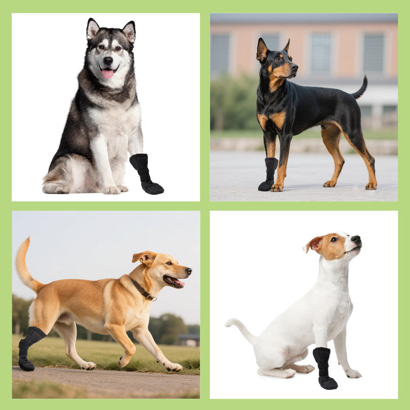 Dog Paw Wound Recovery Boot, Lick-Proof Protection, Non-Slip Pet Shoe with Self-Adhesive Strap, Soft Protector for Medium to Large Dogs, 2PCS (M) M