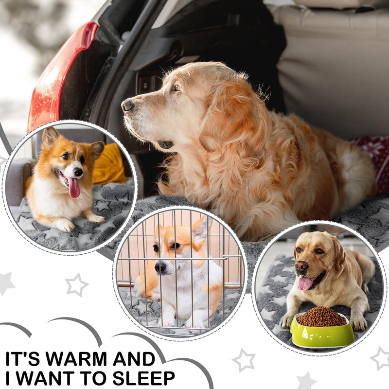 Tranqun 4 Pcs Waterproof Dog Blankets 30 x 21 Inch Washable Puppy Blankets for Small Dog Reusable Pet Pee Pad Soft Reversible Fleece Cat Blanket Sleep Floor Mat for Guinea Pig Cage Liners (Gray) Gray - PawsPlanet Australia