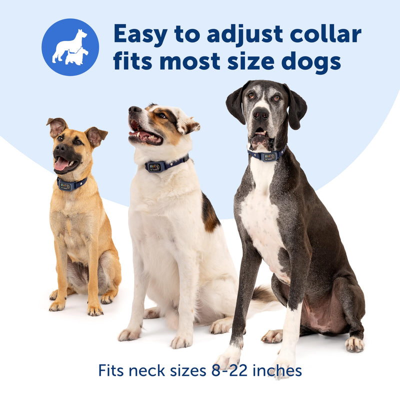 PetSafe Core Digital Dog Bark Collar – Waterproof Anti-Bark Training Device – Tone, Vibration and Static Correction – Illuminated Digital Display – for Small Medium or Large Dogs 8 lb. and Up - PawsPlanet Australia