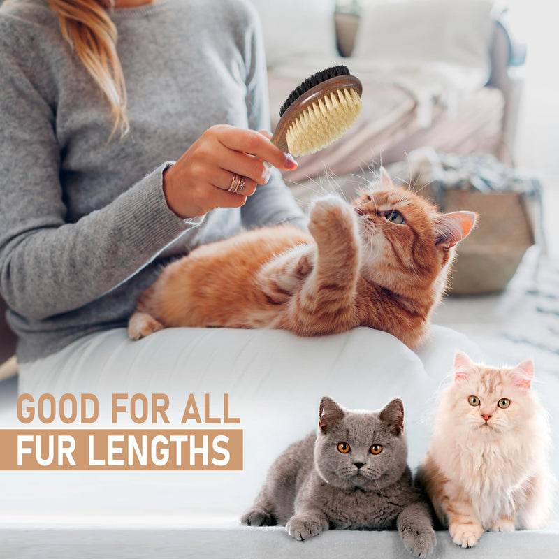 Takavu Double-Sided Boar Bristle Cat Brush - Natural Grooming Tool for Gentle Cleaning, Shine & Reduced Loose Hair - Wood Handle Pet Brush Double Side Brush - PawsPlanet Australia