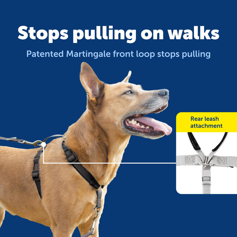 PetSafe 3-in-1 Harness with Two-Point Control Leash - Custom Fit Durable Obedience Gear for Gentle Behavior Training to Reduce Leash Pulling - Breathable Padded Design - Large - Black Large (Pack of 1) - PawsPlanet Australia