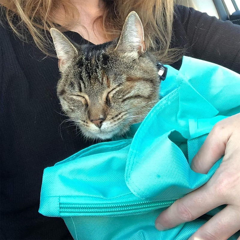 Kitestio Cat Carrier Pouch, Aberfields Cat Carrier Douch, Cat Nail Clipping Cleaning Grooming Restraint Bag, Very Suitable for Going Out with a Kitten Blue*1 - PawsPlanet Australia