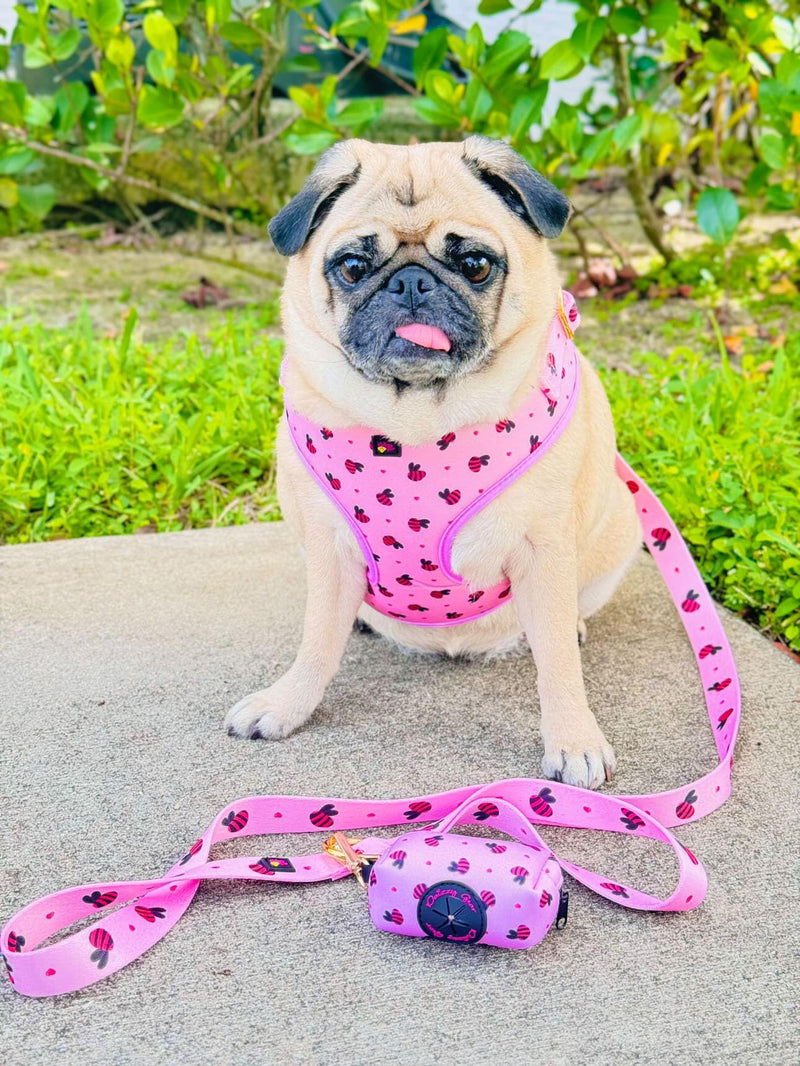 Medium Dog Harness and Leash Set – No Pull Harness, Leash, Collar & Poop Bag Holder – Matching Set with Gold Hardware – Breathable, Adjustable, Stylish, and Comfortable for Daily Walks - Pink Bees Medium - PawsPlanet Australia