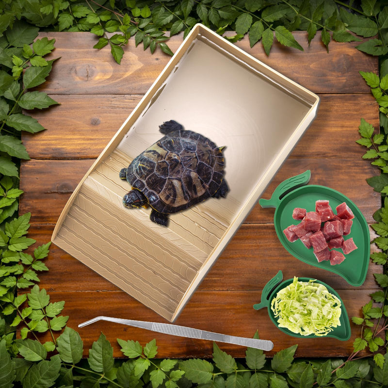 Hacaroa 4 Pcs Tortoise Water Dish with Ramp and Basking Platform, Mango Reptile Food Dish Turtle Water Bowl, Reptile Bathing Pool Amphibians Habitat Accessories for Lizard, Box Turtle, Horned Frog - PawsPlanet Australia