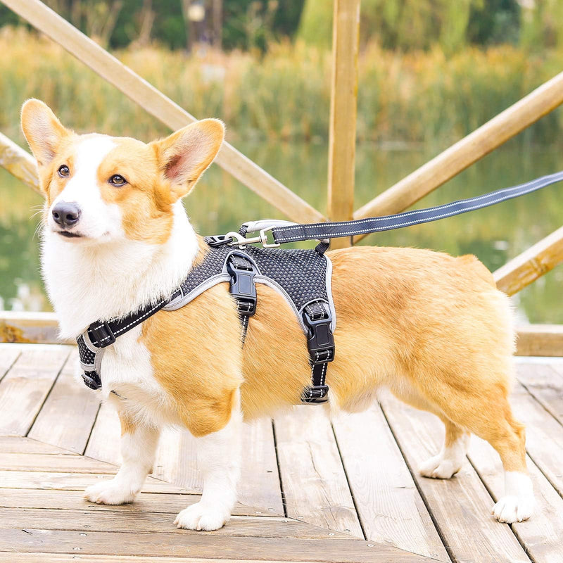 BELPRO Multi-Use Support Dog Harness, Escape Proof No Pull Reflective Adjustable Vest with Durable Handle, Dog Walking Harness for Big/Active Dogs (Black, S) Black S (Pack of 1)