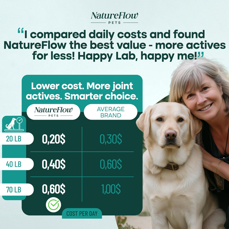 Natureflow Hip and Joint Supplement for Dogs 50ct, Power of Nature, Made in USA, Up to 100 Days Supply, with Green-Lipped Mussel, Glucosamine, Chondroitin, MSM & Devil’s Claw, for All Breeds 50 Counts - PawsPlanet Australia