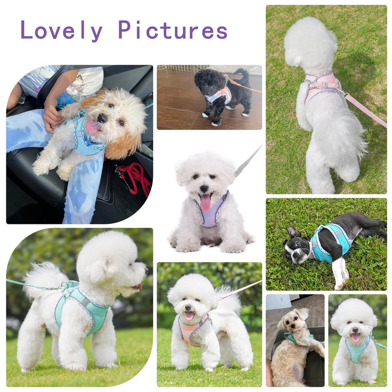 Cute Plaid No Pull Dog Harness for Small Dogs Soft Mesh Small Dog Harness and Leash Set Easy Walk Step in Puppy Harness Vest Pet Cat Chihuahua Yorkie Shih Tzu Dog Harnesses (Purple,XS) XS (Recommend 6-8 lbs) Purple - PawsPlanet Australia