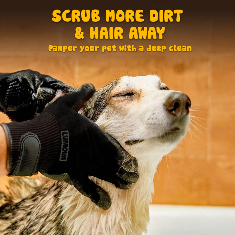 Pet Grooming Glove – Patented Rubber-Massage Shedding Bath & Hair Remover for Dogs, Cats & Livestock – Lightweight, Flexible, Secure Fit (Black) Black - PawsPlanet Australia