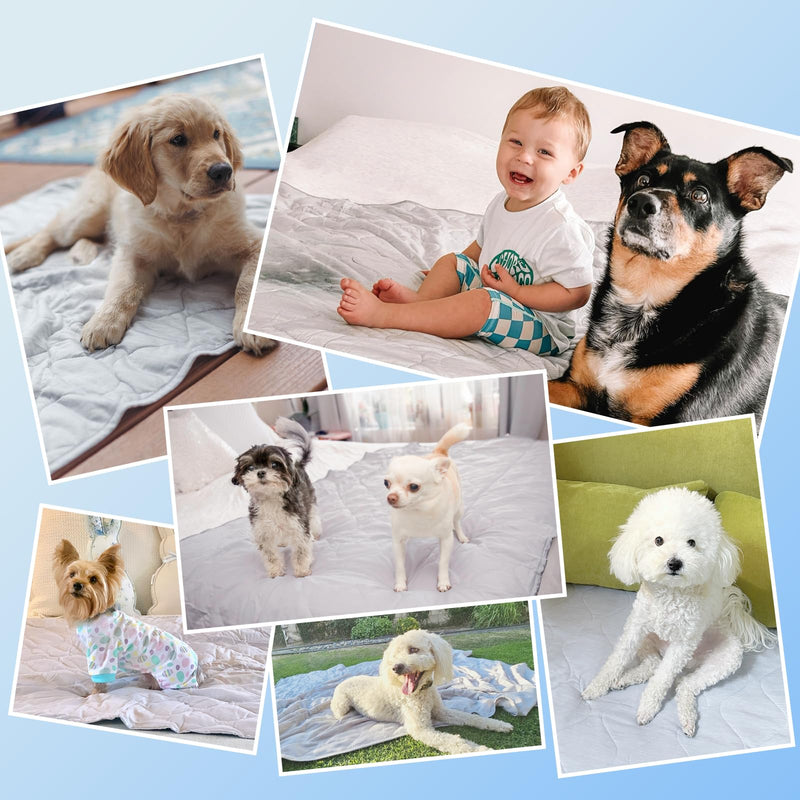 Rywell Cooling Blanket for Dogs, Large Dog Cooling Mat Q-Max>0.5, Durable&Versatile with Cooling&Soft Surfaces for All Seasons,Waterproof Protect Sofa Bed,40 * 60IN Washable Dog Blanket 60*40*IN - PawsPlanet Australia