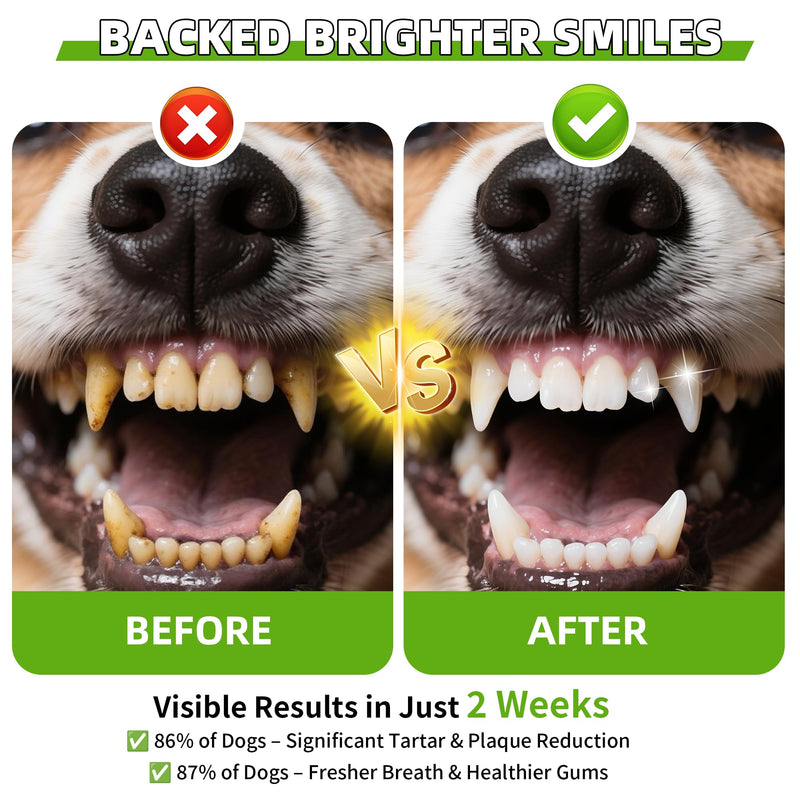 Dog Teeth Cleaning Powder,Dog Dental Powder with Natural Herbal Blend, Plaque Off Pet Tooth Cleaning lab co, Targets Tartar & Reduces Plaque & Bad Breath for Dogs & Cats, Mint -150Grams - PawsPlanet Australia