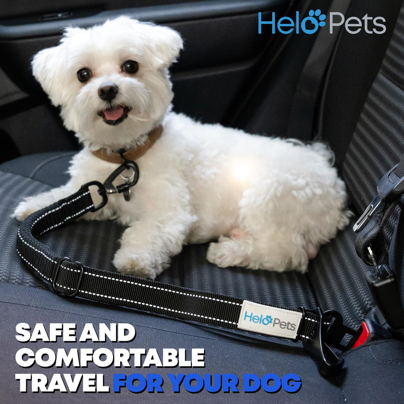 Dog Car Seat Belt for Car 3-in-1 Adjustable Safety Seatbelt for Dogs in Car – Durable Extra Thick Nylon Webbing Bungee with Hook & Buckle Latch, Reflective Dog Harness for Car (Black). Black - PawsPlanet Australia