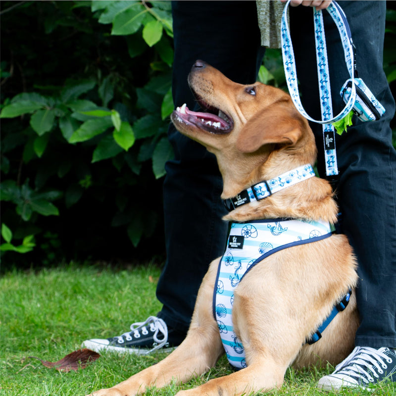 Ancol The Soho Pet Collection Nautical & Coral Reversible Harness Medium To Fit 35cm - 60cm White M