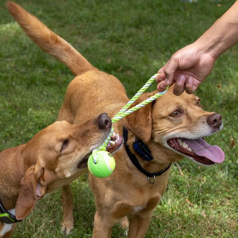 Dog Toys Rope Large Dog Chew Toys, Indestructible Rope Dog Toys Tough Dog Toys for Aggressive Chewers Large Breed, Medium Dogs, Cotton Puppy Teething Chew Tug Toy Ball Rope - PawsPlanet Australia